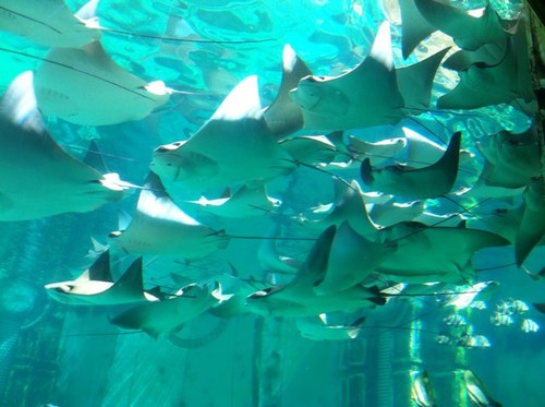 FatherPyro's profile picture. 