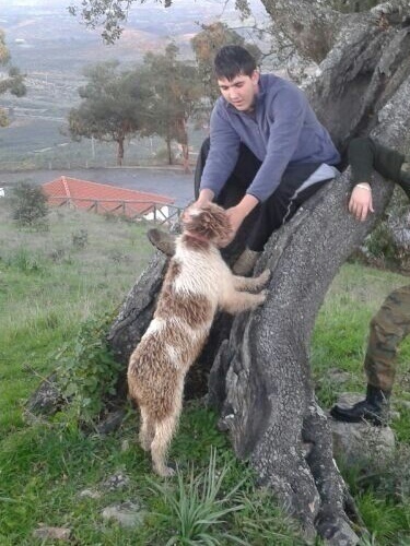 Litroniano's profile picture. 