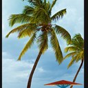 Liza Cullen - @cullen_mama - Twitter