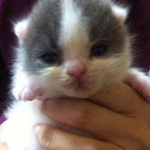 Brucehoyin's profile picture. 