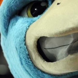Coastal Carolina University
Office of Student Accounts