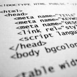 PatagoniaDev's profile picture. 