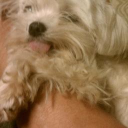 Widowed. Met S.O. three years ago. Write stories and poems on http://t.co/gmnxy7OP7l. 
Love in the country.  Loves animals.