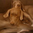 Daryl Evans - @DarylEvans8 - Twitter