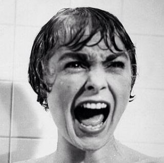 screamingbecki's profile picture. I love God, my family, my country.Proud Missourian. Love my Catholic faith. Let's bring Conservative values out of the darkness and into the light. #TGDN #Acton