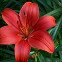 Faith Perry - @kittin360 - Twitter