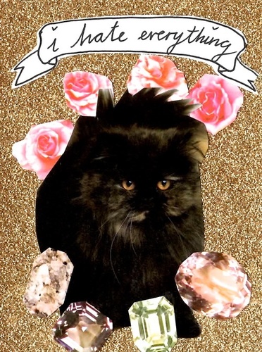 deathbytwenties's profile picture. fuck your twenties. marry a cat. two 20 somethings trying not to die. east & west coasts fo life. ♡K+M♡