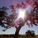 Rob Patrick Jones - @RobertJ74377896 - Twitter