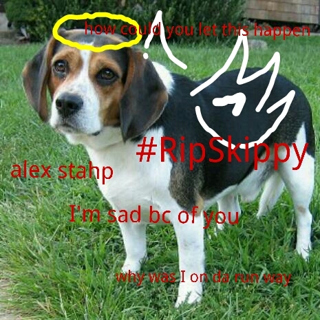 lilskippyATL's profile picture. Im dead bc of Delta and Alex Gaskarth