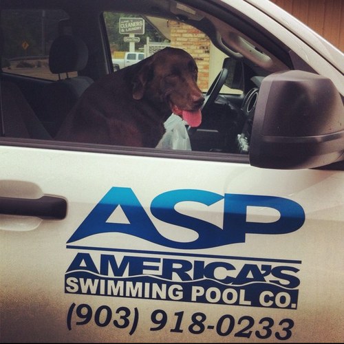 ASP, the nation's largest swimming pool maintenance & repair company since 2001.