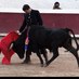 Pablo Alvarez Saiz (@palilloalvarez) Twitter profile photo