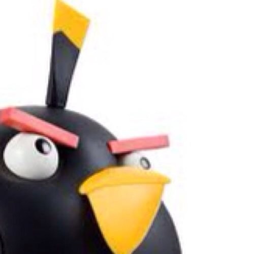 i'll blow your mind cuz i'm the bomb! I tweet back! SQUAK!