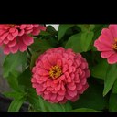 gretchen buchanan - @gggretbuch - Twitter