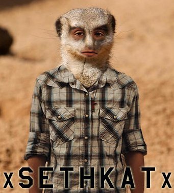 The philosophies of man surely persuade my attention to the stars, but then again I am simply a man-merekat.