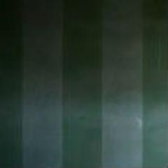 serialusagi's profile picture. アウストラロピテクス