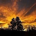 Vanessa Silver - @VanessaMSilver - Twitter