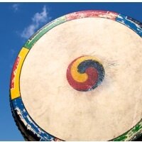 nfkb (@nfkb) 's Twitter Profile Photo