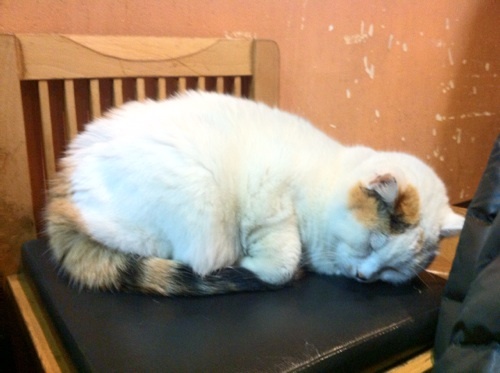 boot3000's profile picture. 