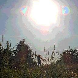 Nature documentary combining classic narration, epic adventure, comedic skits, and short shorts.