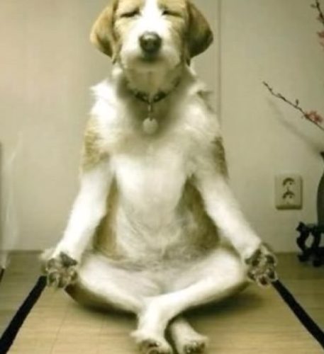 DearAbster's profile picture. From Philly to Oakland. It was all a dream...tweets are now on @AbbyBobe