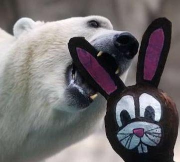 huntergreen11's profile picture. Liberal.  Bicycle rider.  Astrologer.  AF officer, retired.  Artist.  Gym beast.  Book reader (and listener).  Kombucha maker.