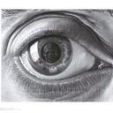 darryel croxton - @darryelcroxton - Twitter