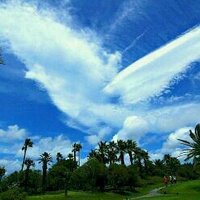 lcj3117@dreamwiz.com (@scjandrew) 's Twitter Profile