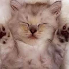 prestondng's profile picture. You need a mind open to possibility, conditioned to love the creative spirit we all have inside ourselves.