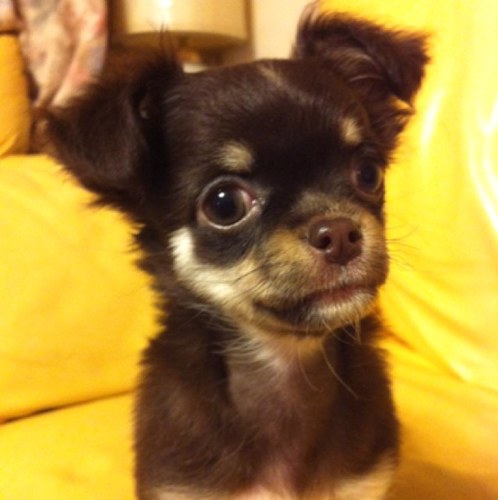 aya__plus's profile picture. 前髪伸ばし中。