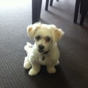 kris fitzpatrick - @krisfitz87 - Twitter