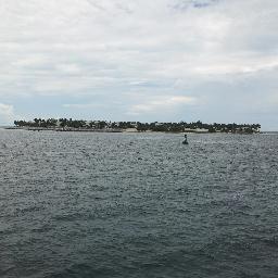 CRMtesting's profile picture. 