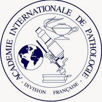 AIPDF (@aipdf1) 's Twitter Profile