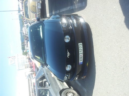 oleparty2's profile picture. 