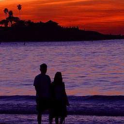 AnshVerma90's profile picture. 