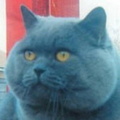 ﾟdﾟ ｳﾏｰ Pianist Danna Twitter