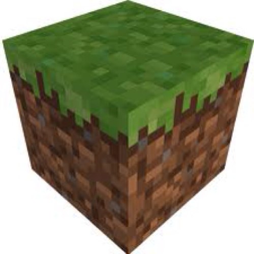 Minecraft is cool lol