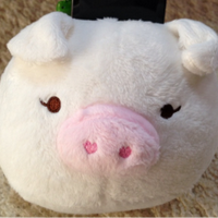 Natsu🐷(@Natsu_umidigi) 's Twitter Profile Photo