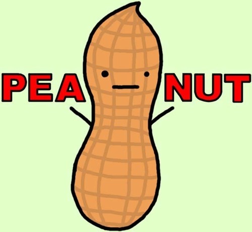 The funniest peanut in you tl, ask for follow back.. DISLIKE PEANUTBUTTER, KEEP PEANUTS ALIVE! #FP PEANUTS 4 LIFE!♥  thanks for follow ♥