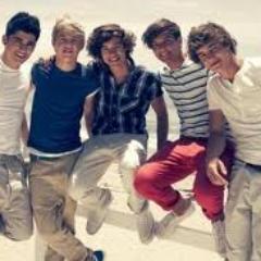 soy fans de one direction tengo 13 años