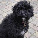 Ellen Brouwer - @EllenBrouwer1 - Twitter