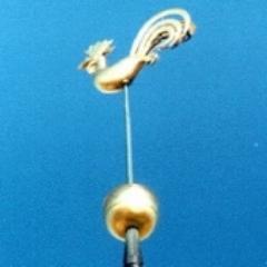 Peetergailis's profile picture. 