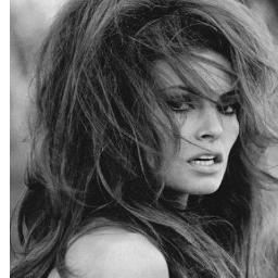 vukiceviv's profile picture. 