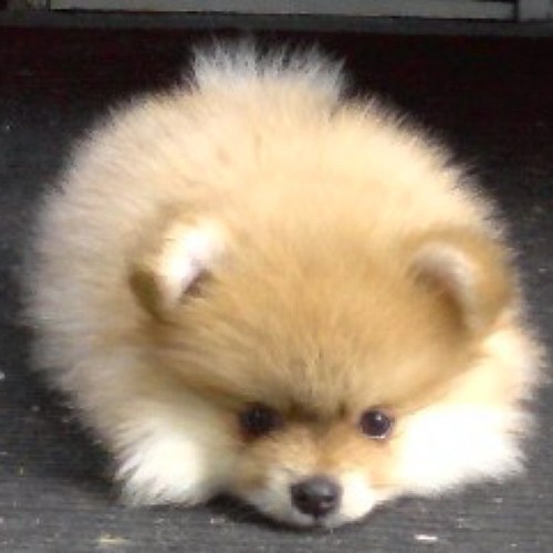 levfactor's profile picture. 