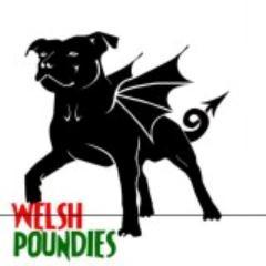 welsh poundies Profile