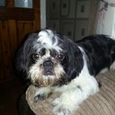 Sharon gray - @shazzygee12 - Twitter