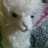 skin_kk's profile picture. ムック、ラルク、cali≠gari、椎名林檎、東京事変とか。好きなものは好き！