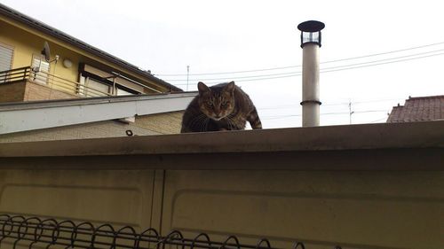 悟りへと至る途中下車。駅を間違えて