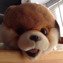 Lori Salerno - @dollywalori - Twitter