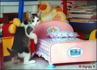 SharpendPencil's profile picture. 