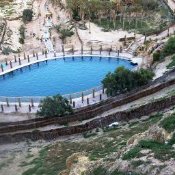 elyesfrij's profile picture. 